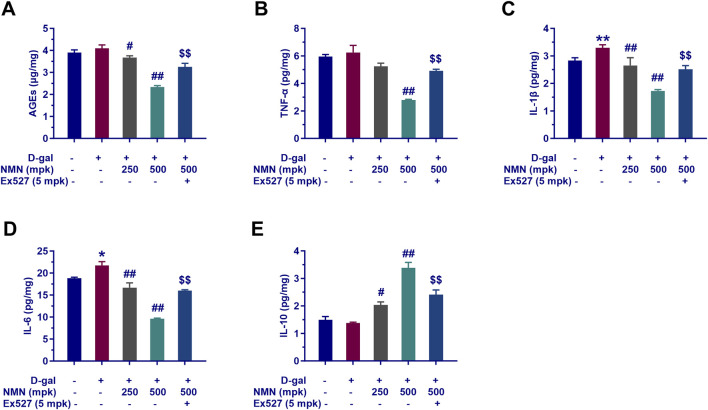 1763347123.png 1763347123.png