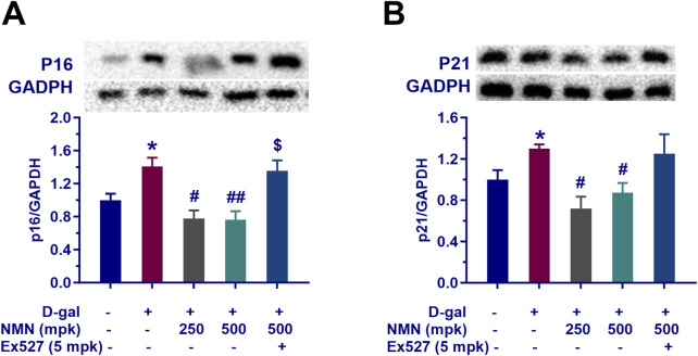 1763347166.png 1763347166.png