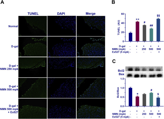 1763347188.png 1763347188.png