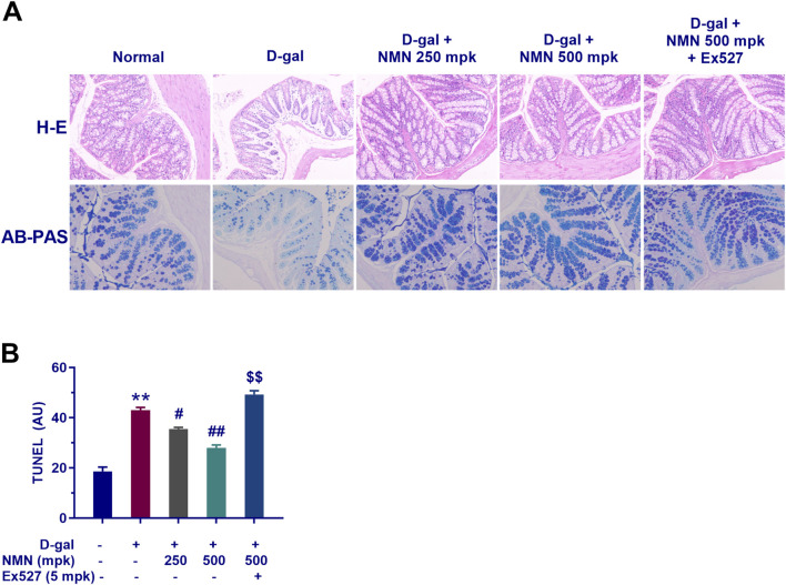 1763347208.png 1763347208.png