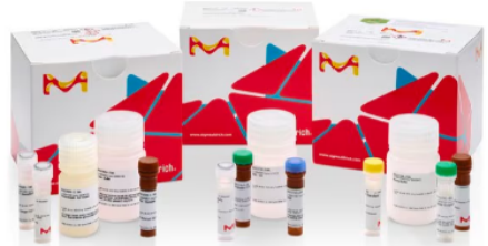 1773629748.png 1773629748.png