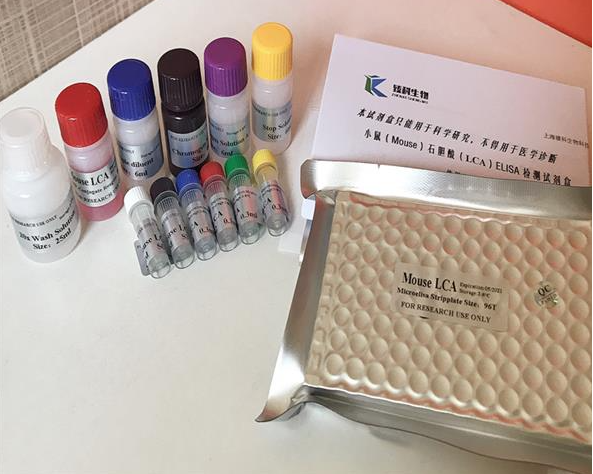 1773629787.png 1773629787.png