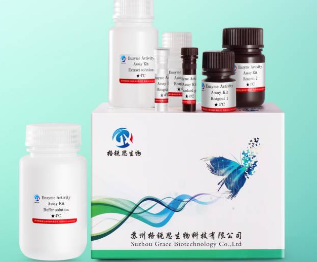 1773629806.png 1773629806.png