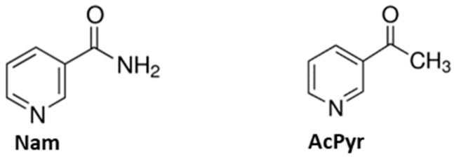 1773629823.png 1773629823.png