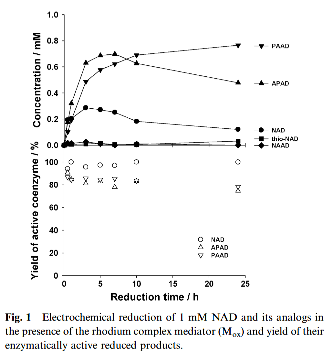 1774235725.png 1774235725.png