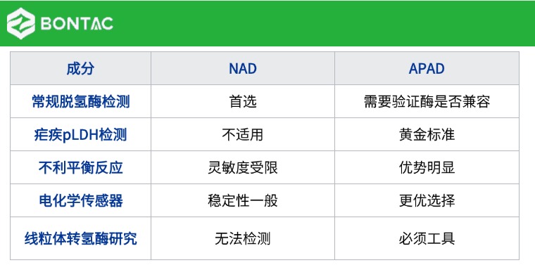 1774235788.jpg 1774235788.jpg