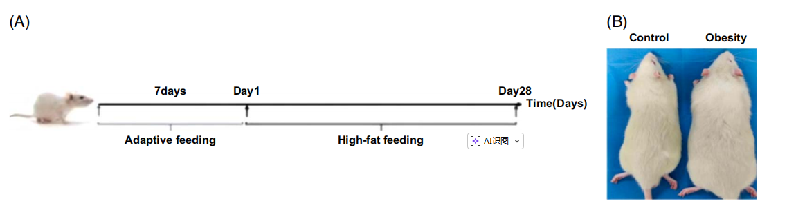 1776052095.png 1776052095.png