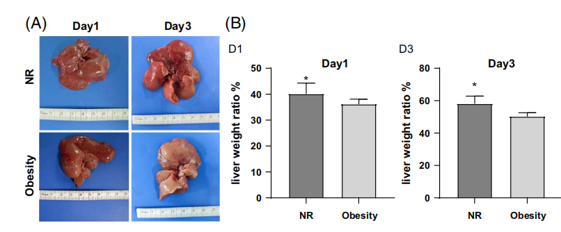 1776052109.png 1776052109.png